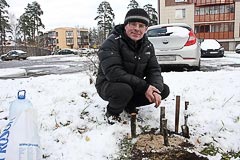 Дмитрий Булавинов с&nbsp;высаженным саженцем кедра