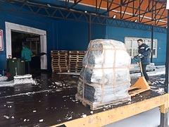 Рюкзаки вернулись в Петербург Рюкзаки вернулись в Петербург