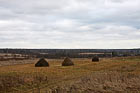 Футбольно-сенной луг