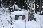 Заботливо установленная скамеечка