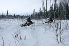 Охотники за&nbsp;браконьерамм