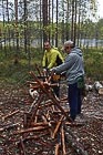 Заготовка дров