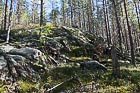 Каменный лоб