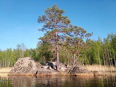 Каменный микроостровок Каменный микроостровок