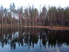 Маленькое из&nbsp;Оленьих озёр