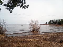 Мыс Резной