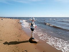 На берегу пустынных волн стоял он, дум великих полн… На берегу пустынных волн стоял он, дум великих полн…