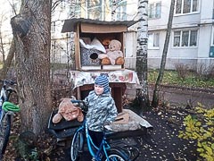 Давид считает медведей