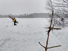 Камыш для масленичного чучела Камыш для масленичного чучела